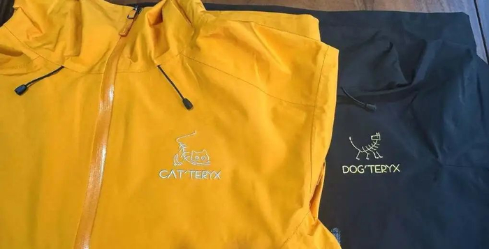 图片来源于网络