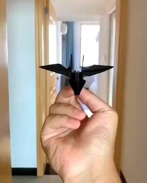 这个纸飞机我叠过确实挺好飞