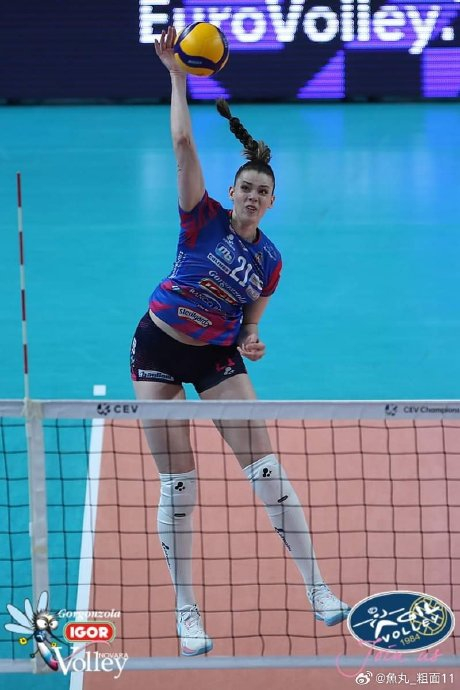 2023-2024赛季女排欧挑杯决赛首回合……|诺瓦拉|南特|女排_新浪新闻