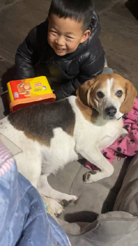 狗哥还挺会装可怜