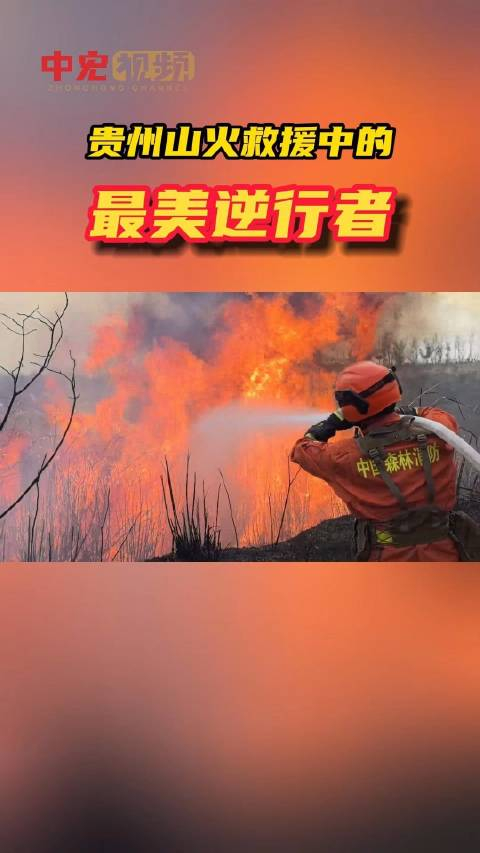 致敬贵州山火中的最美逆行者