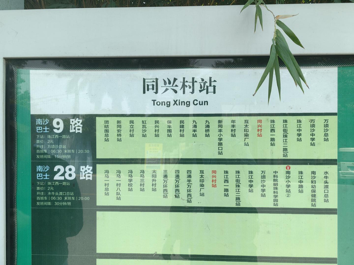 南沙9路站牌&nbsp;受访者供图