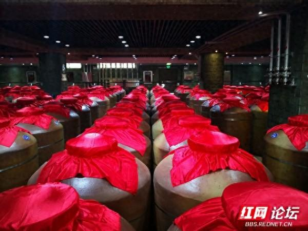 认真考虑吧听说过种瓜种地你听说过种酒吗