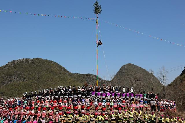 隆林:近十万人载歌载舞同庆苗族"跳坡节"|苗族|隆林|爬坡_新浪新闻