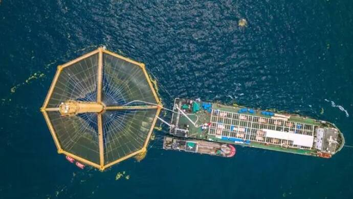 闪电评论丨山东高质量书写经略海洋大文章|海洋|山东省_新浪新闻