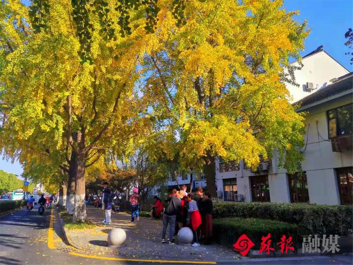 行走人民路|苏州市_新浪新闻