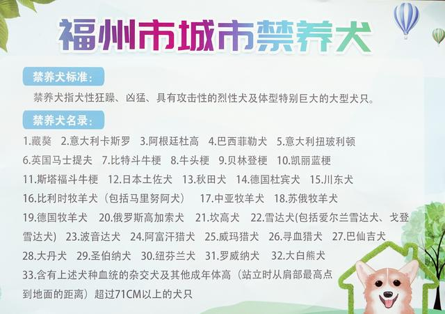 条例|养犬|犬只_新浪新闻