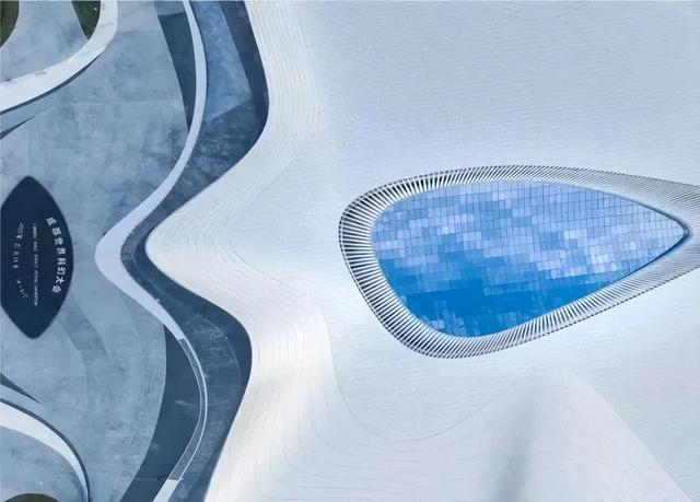 有海洋世界了!|欢乐剧场|热带雨林馆|海洋世界_新浪新闻