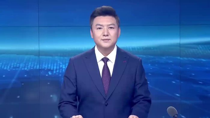 为现代化新青海建设贡献更大更多民营经济力量 陈刚讲话 吴晓军主持