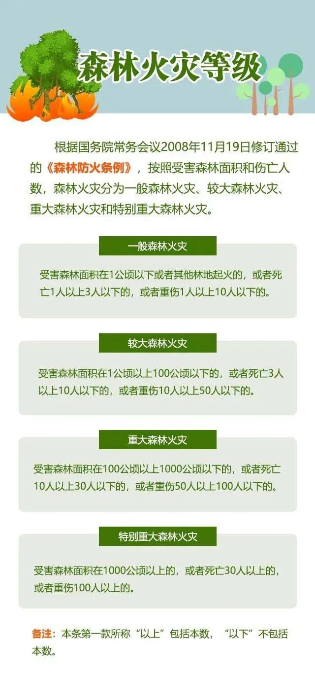 防患于未"燃",绷紧森林草原防火安全弦|火灾|森林草原_新浪新闻