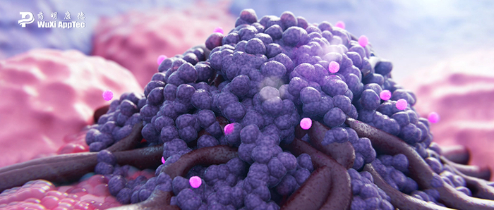 "量身定做"的癌症策略,可为患者匹配更有效,获益更