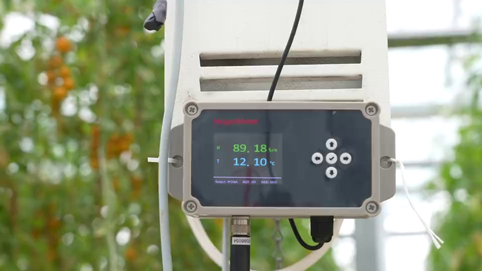 通过智能监控测温,棚顶幕布可以实现自动化开合,让大棚内始终保持适宜