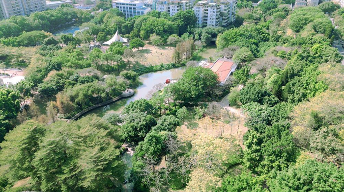 河南省|广州市|素馨花传说_新浪新闻