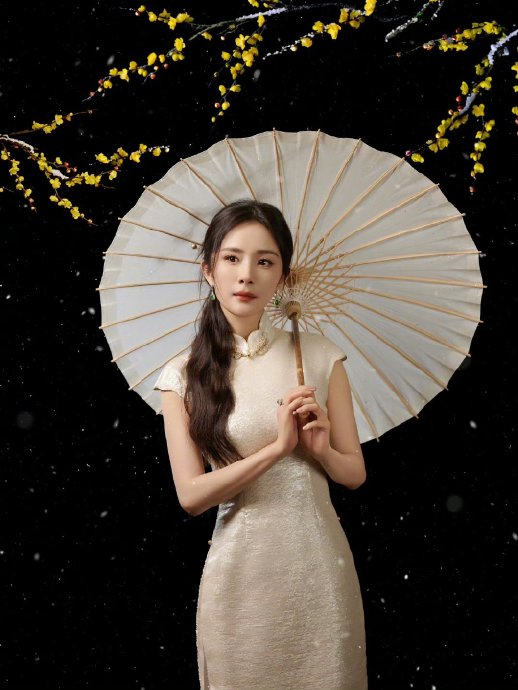 河南春晚总导演路红莉拿杨幂的节目《入梦风华》举例