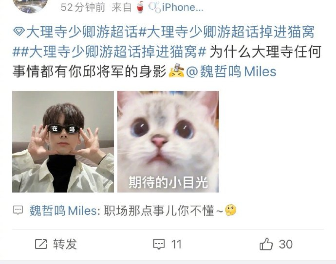 魏哲鸣|将军_新浪新闻