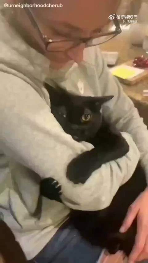 好黏人的黑猫紧紧抱着主人的手臂