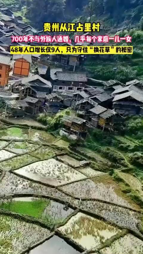 贵州神秘的占里村,600年来男不外娶女不外嫁……__财经头条