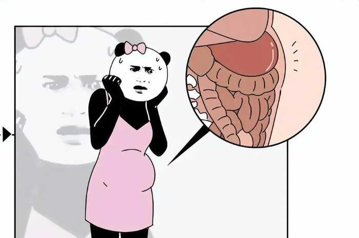 肚子|腹横肌|小肠_新浪新闻