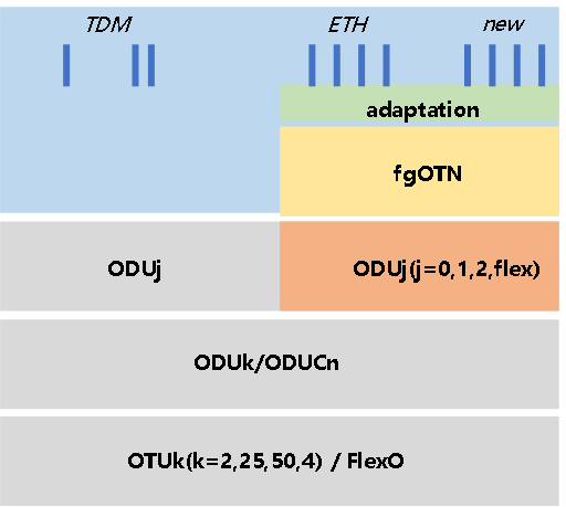 图1 fgOTN在OTN映射中的位置
