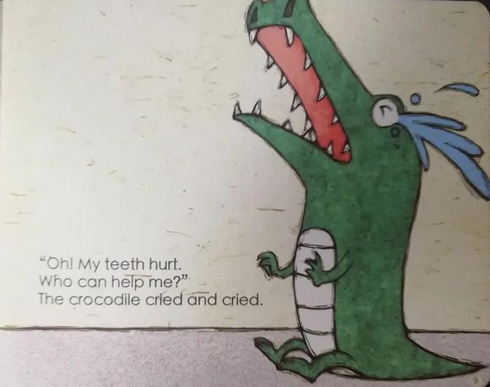 鳄鱼英语怎么读读音图片