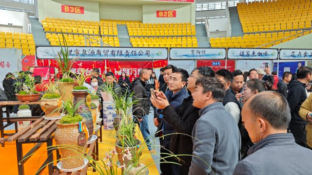 2024中国(大理)第十四届国际兰花茶花博览会开幕|大理白族自治州|中国