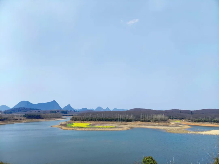 2月21日贵安樱花园实景拍摄