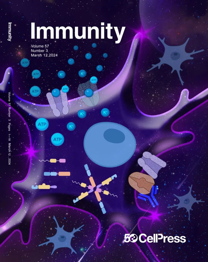 immunity南科大卞劲松团队揭示焦虑症发生的新机制和治疗新靶点