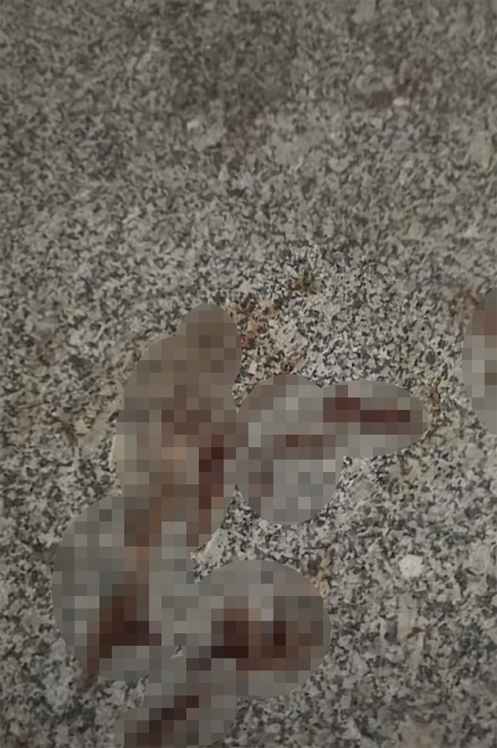 徐欣容被群殴时，地上的其中一块鼻血印迹