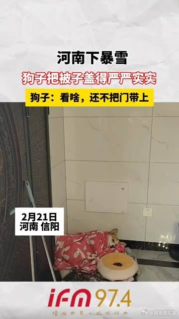 河南下暴雪,狗子把被子盖得严严实实,狗子:看啥