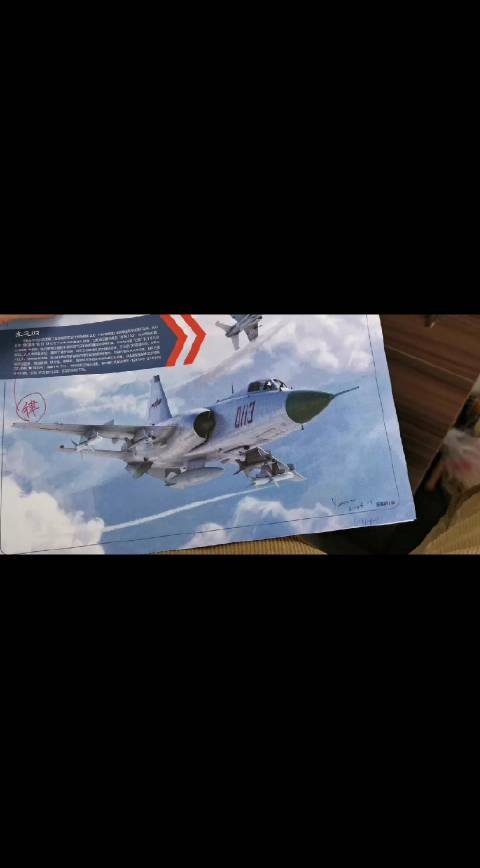 航空知识与画家联合策划的中国航空x档案之东风113