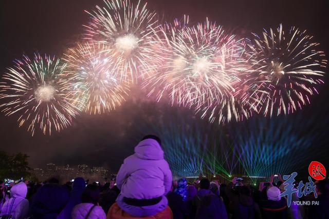 视频图集8万发焰火腾空绽放2024广州知识城元宵烟花汇演闪耀夜空