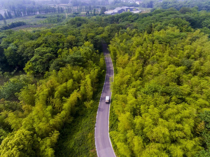我上春山,约你来见|扬州市_新浪新闻