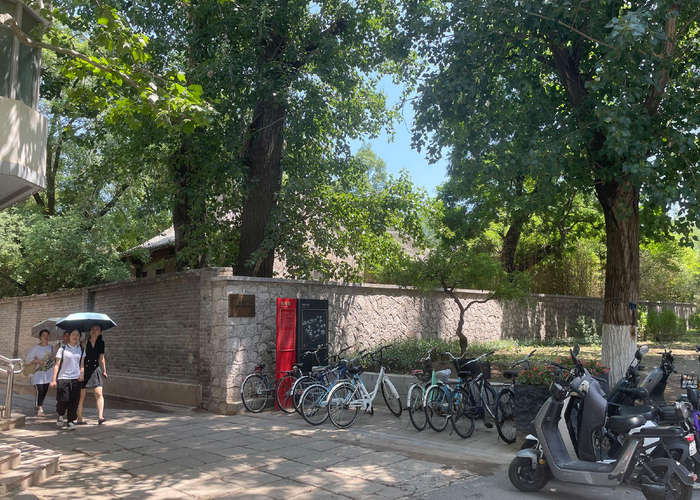 天下| 北大燕南园:草木故园,重焕新生|冰心_新浪新闻