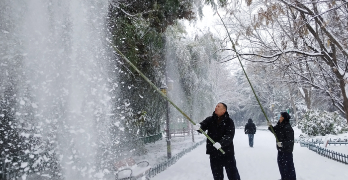 这,就是雪后的阜阳!|西湖|园林|积雪_新浪新闻