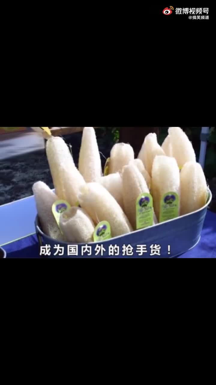 小丝瓜成为日常不可或缺的生活用品