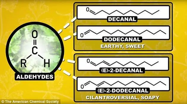 图源：The American Chemical Society
