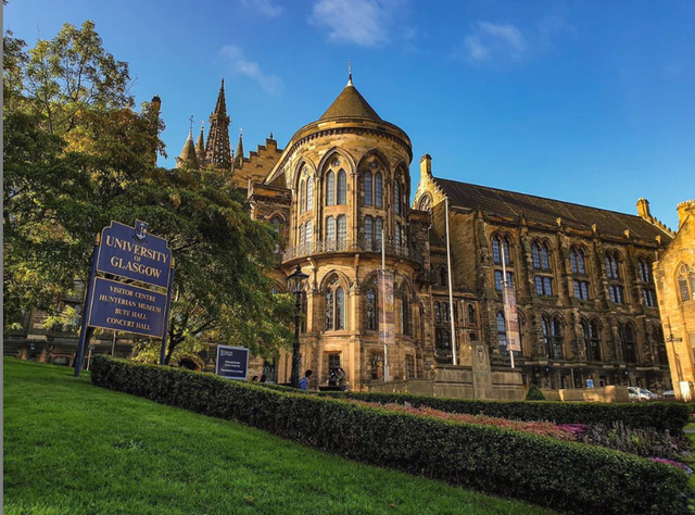 中国留学生追求qs排名的通病都有哪些?