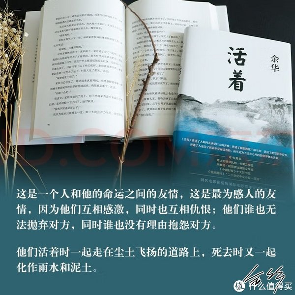 推荐书籍:《活着》|活着_新浪新闻