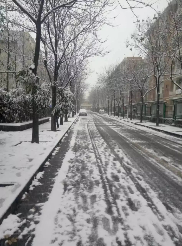 【气象地理】为什么"下雪不冷化雪冷"?附锋面气旋专题