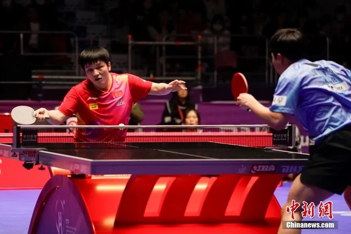 图为樊振东在半决赛中。中新社记者 刘旭 摄