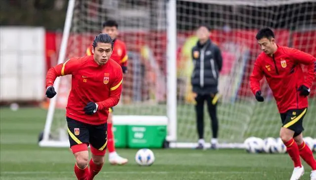 海港再遭致命打击,中国男足这回麻烦了|李圣龙|古斯塔沃|海港_新浪