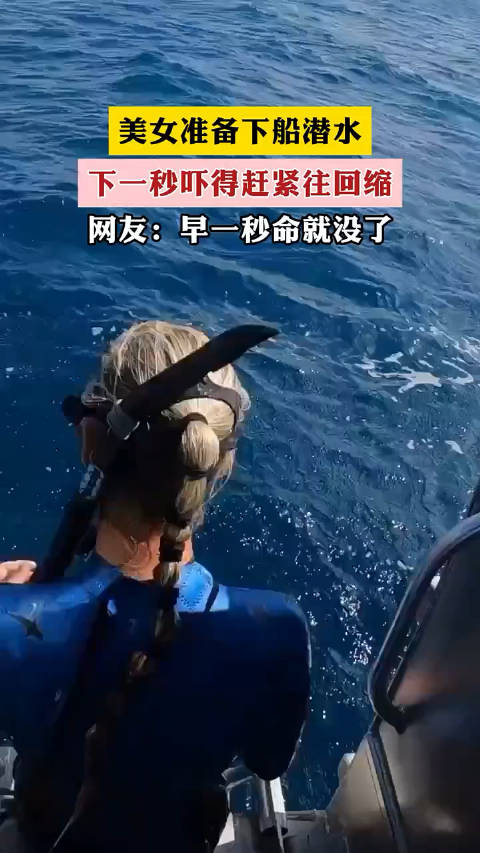 美女准备下船潜水下一秒吓得赶紧往回缩网友早一秒命就没了