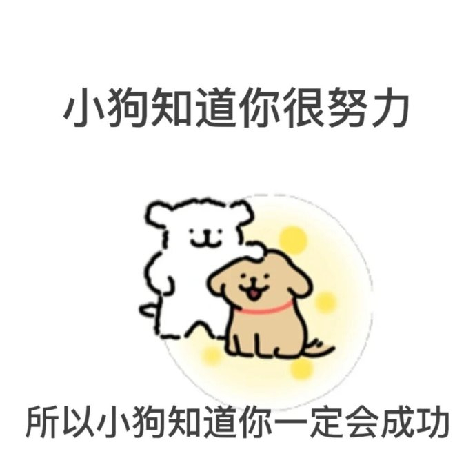 刷到这只上岸小狗的准研究生们,请上岸