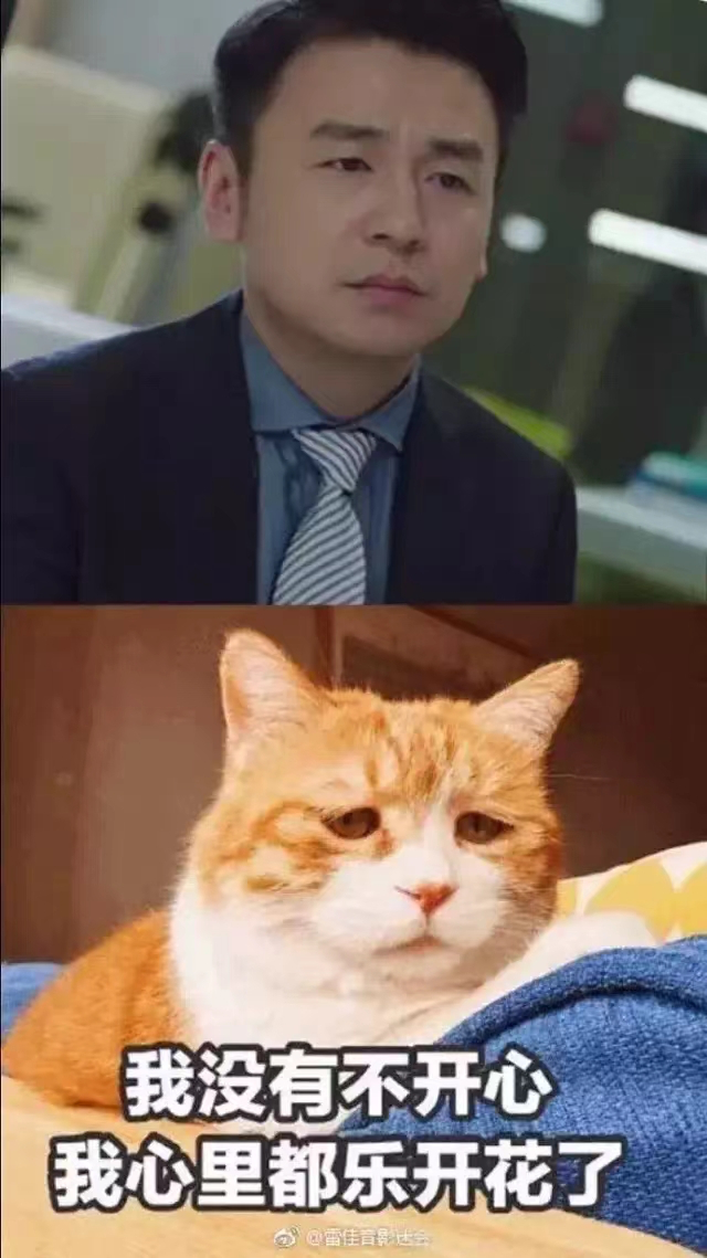 网友则说他的脸很像"网红猫日",看起来有种中年人的颓废和委屈.