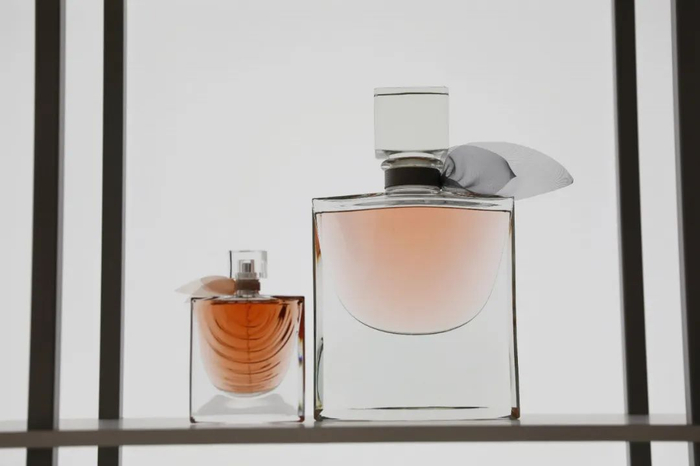 我在巴黎卢浮宫揭秘:全世界最厉害的香水展,和一瓶香水的诞生__财经头