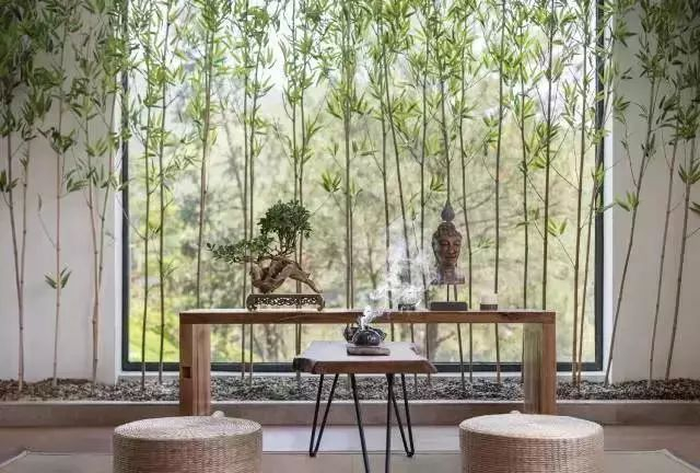 日本|茶文化|喝茶_新浪新闻