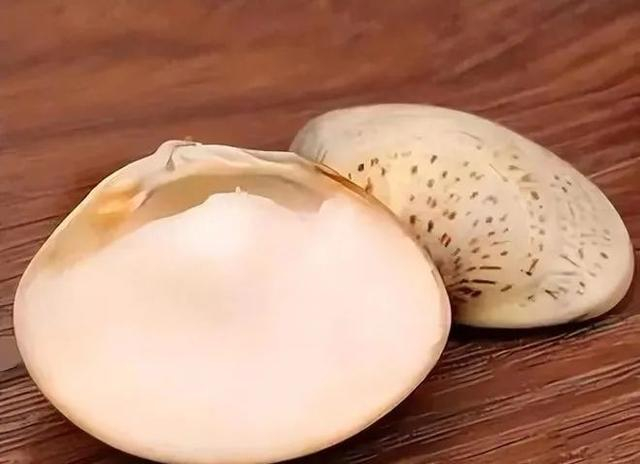 蛤蜊油（图源网络）