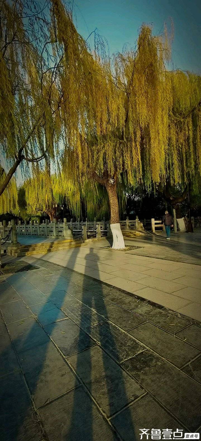 天气晴好出门遛弯