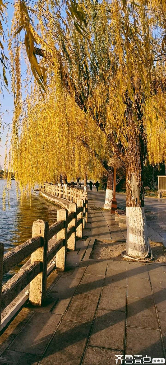 天气晴好出门遛弯