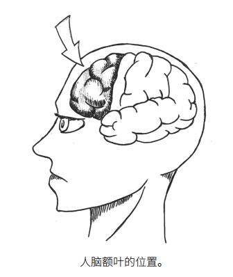 大脑长在头的位置图图片